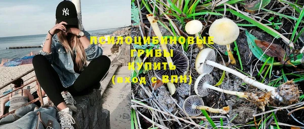 твердый Аша