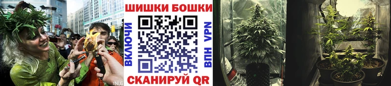 Марихуана конопля  Нахабино 